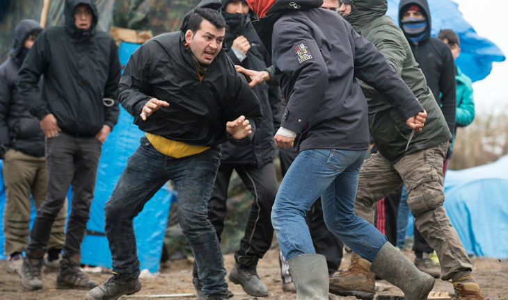 bagarre-dans-la-Jungle